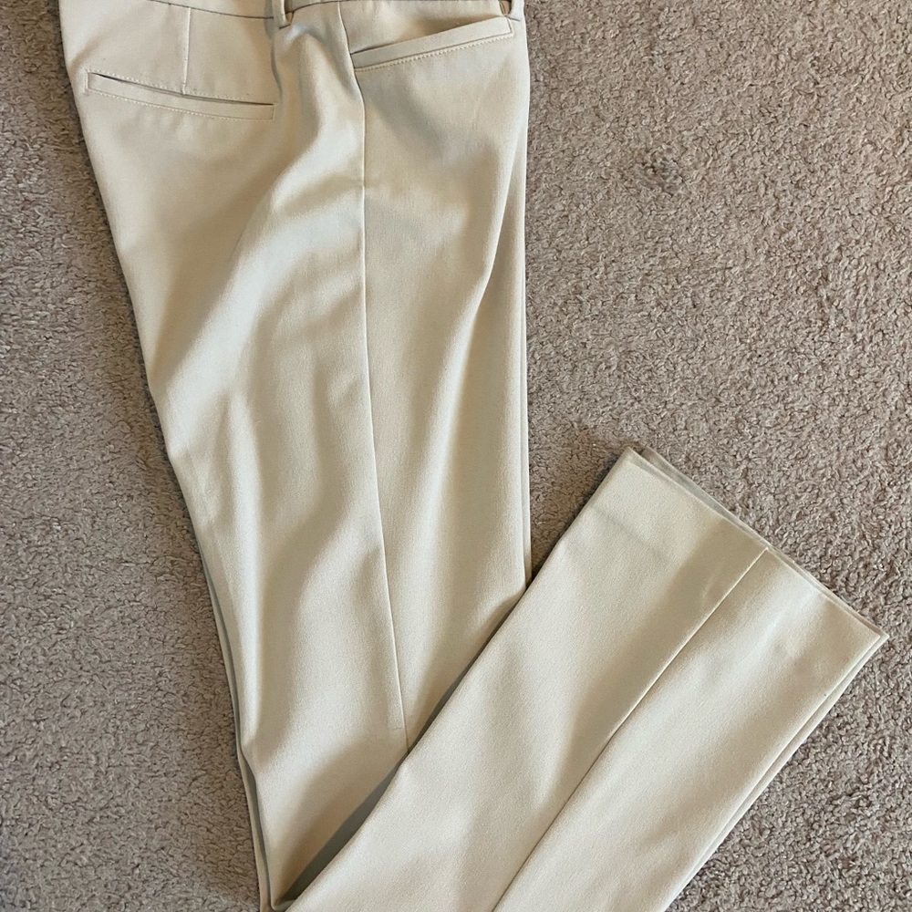 Express Dress Pants